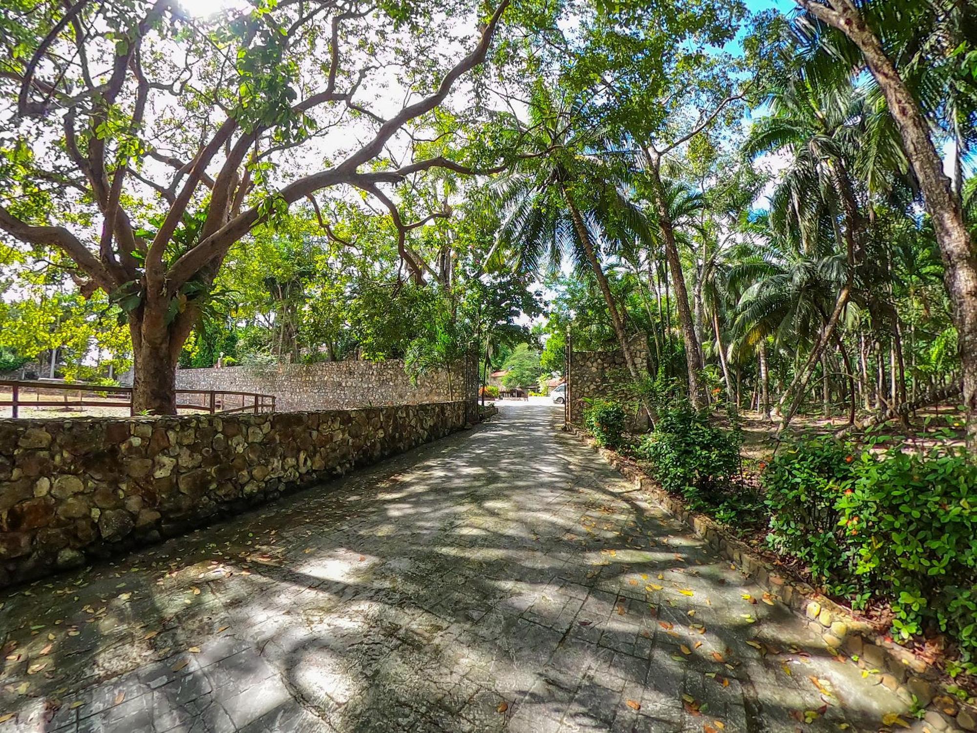 Orange Walk The Mayan Garden מראה חיצוני תמונה